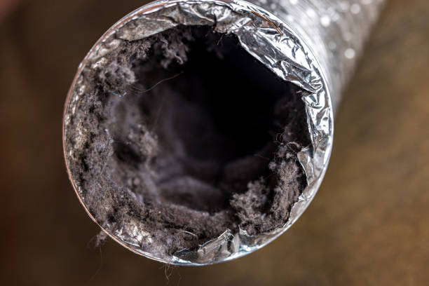 Best Air Duct Cleaning Near Me  in Windy Hills, KY
